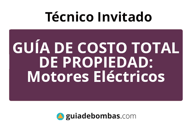 GUIA DE COSTO TOTAL DE PROPIEDAD: <br>motores eléctricos